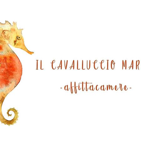 Il Cavalluccio Marino Manarola Buitenkant foto