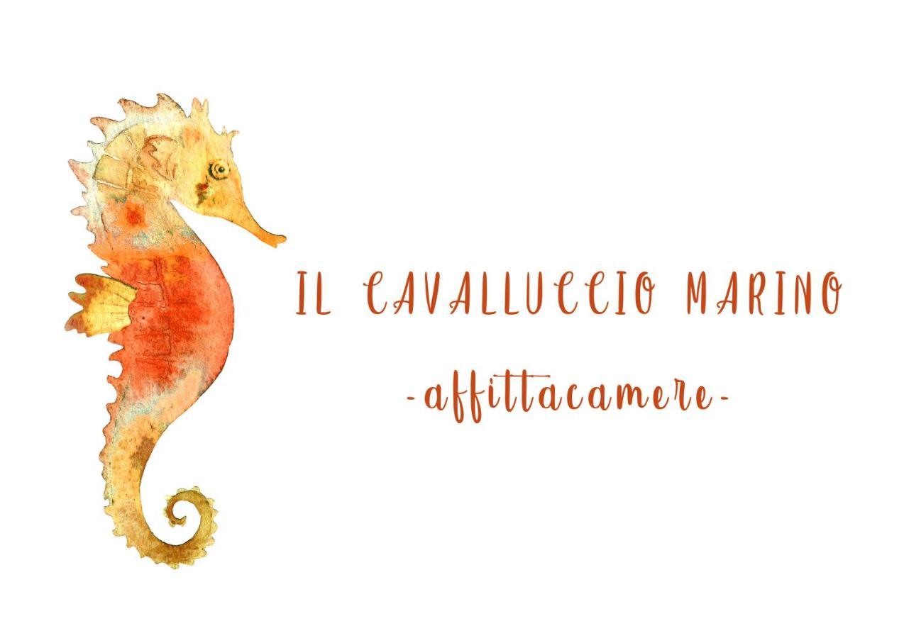 Il Cavalluccio Marino Manarola Buitenkant foto