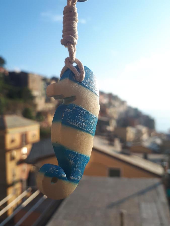 Il Cavalluccio Marino Manarola Buitenkant foto